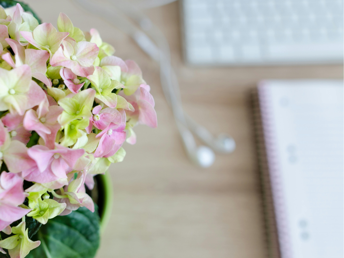 Hydrangeas next to a keyboard and notebook